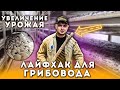 Лайфхак Для Грибовода. Увеличение Урожая. Выращивание Шампиньонов