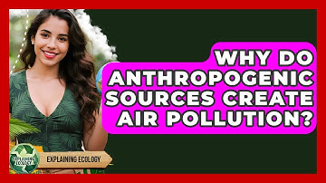 Why Do Anthropogenic Sources Create Air Pollution? - Explaining Ecology