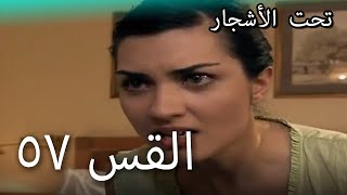 57 سنوات الضياع