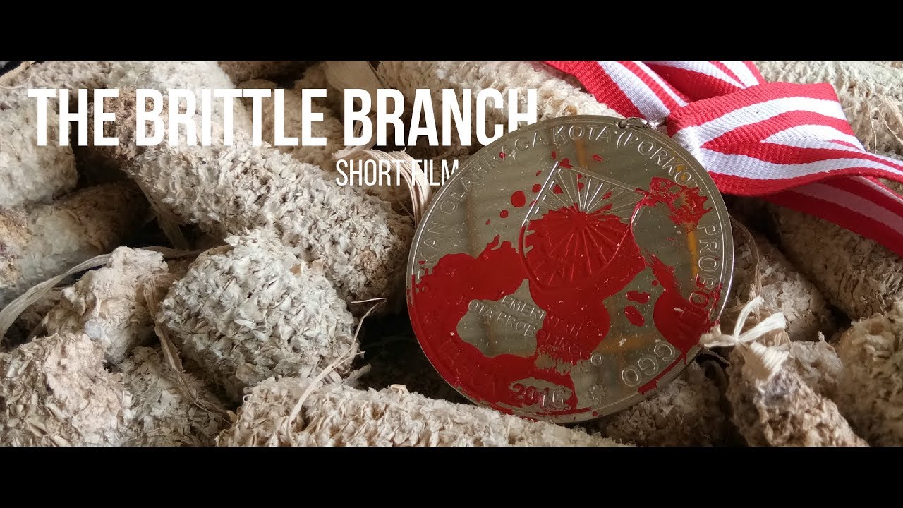 FESTIVAL FILM SURABAYA   THE BRITLLE BRANCH   SMAN 2 PROBOLINGGO