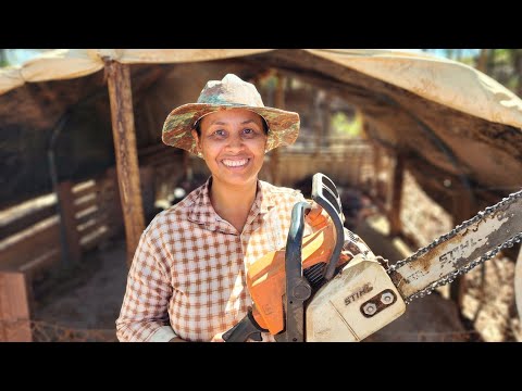 Transformando uma Árvore Seca em uma Casinha Sustentável para Leitões