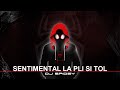 Dj spidey  sentimental la pli si tol remix