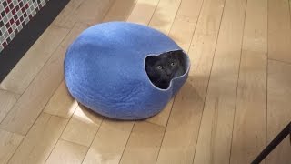 Cat trying out his new felted cat cave, got it on Esty. I think it was made in Lithuania.