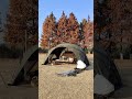 🍁 【秋のキャンプ、テントに紅葉が映える季節】秋の深まりとともに、ふかくくつろぐ。 #テント #campinglife #キャンプ #