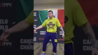 Famous canelo alvarez dancing in the dressing room before the charlo fight Net Worth