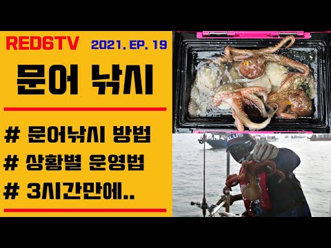 <strong>문어낚시</strong> - 문어낚시방법, 상황별 운영방법