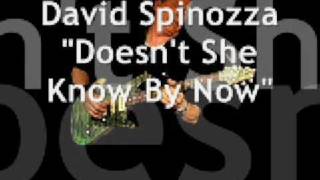 Video thumbnail of "David Spinozza Doesn't She Know By Now"