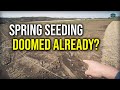 SEEDING A LAWN IN SPRING UPDATE!! // New Front Lawn Renovation Part 2