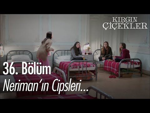 Yurdun yıkılmaması kutlamaları - Kırgın Çiçekler 36. Bölüm