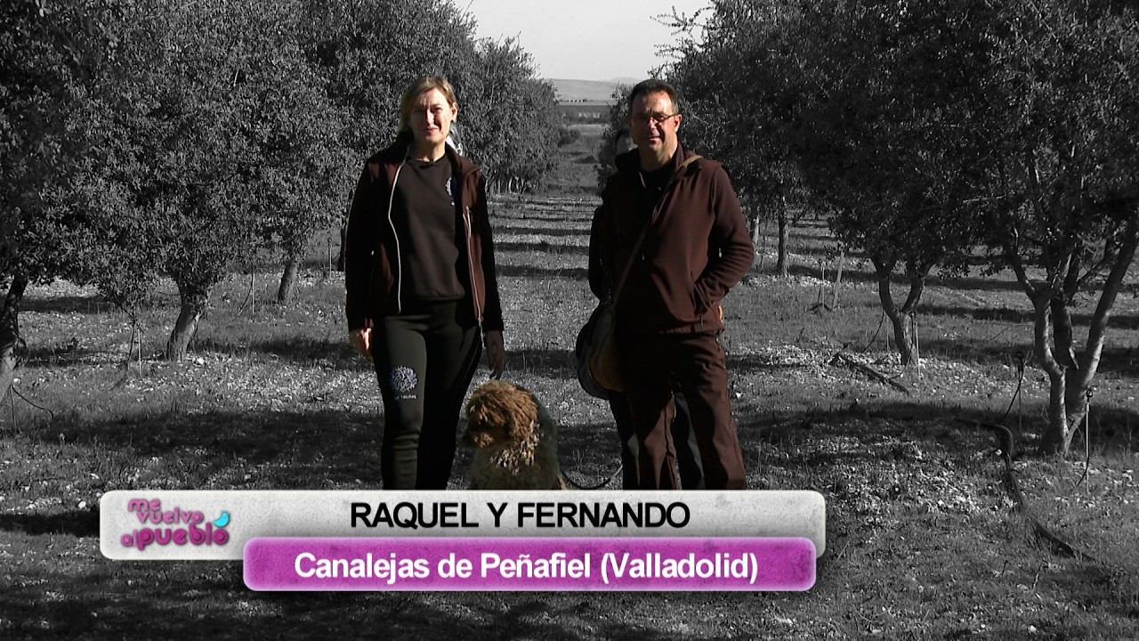 T18/E19: Una empresa productora de trufa negra en Canalejas de Peñafiel (Valladolid)