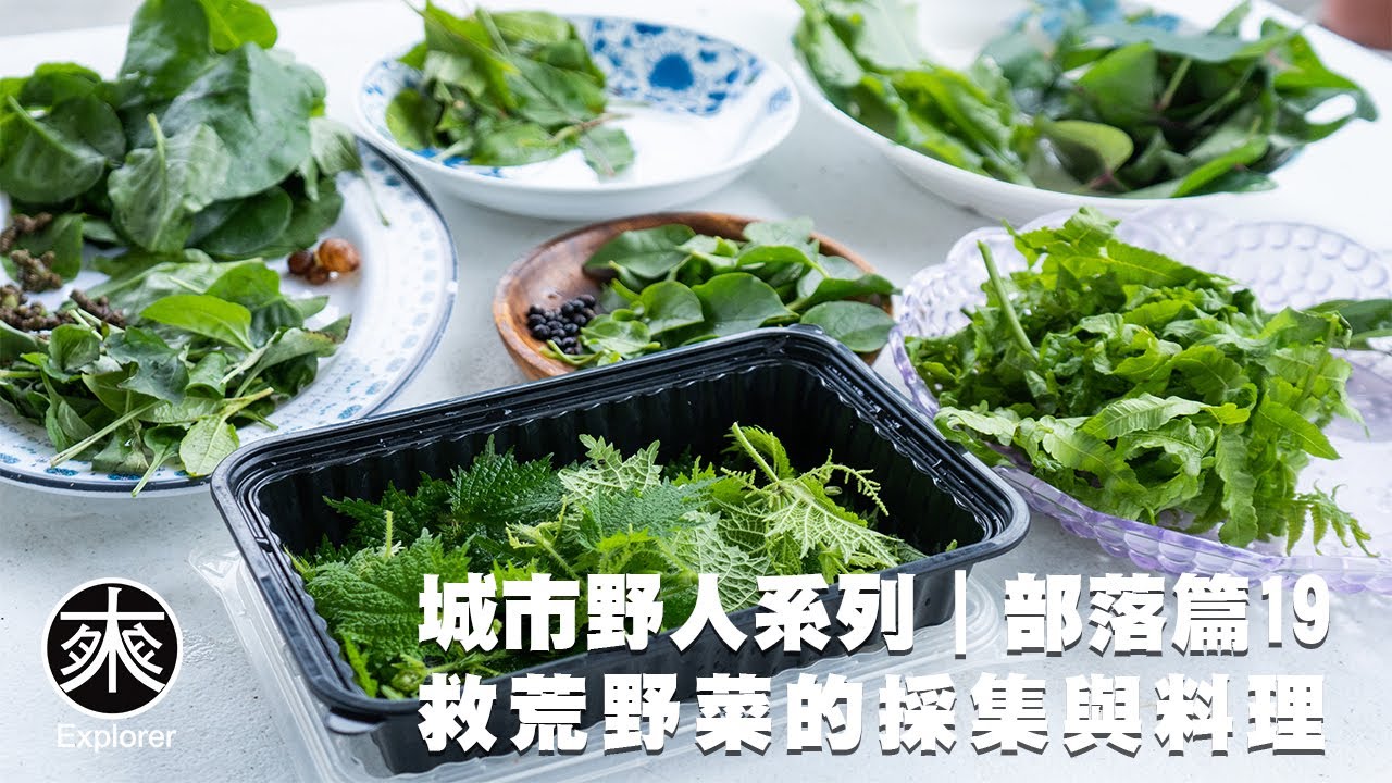 台灣野菜採集與料理19，車前草、土肉桂、皺葉酸模、腎蕨、過溝菜蕨、火炭母、咬人貓、唐棉、薏苡、羅氏鹽膚木、桃葉斑鳩菊、川七、落葵、假酸漿、佛手瓜、山藥，探路者城市野人｜救荒野菜採集-部落篇第19集