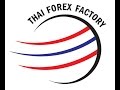 COPYTRADE SYSTEMS by Thai Forex Factory (Update 1.5 Months)