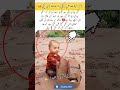 A Little Survivor’s Story 👶❤️#baby#humanity#hope#viralshort