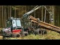 A Short History of Timber Harvesting in Ireland (Garvagh Forest)