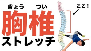 肩こりや腰痛改善に効果的 胸椎が硬い人にオススメのストレッチ