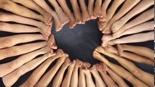 Point & Flex - Room 8 - Halcombe School - March 2019