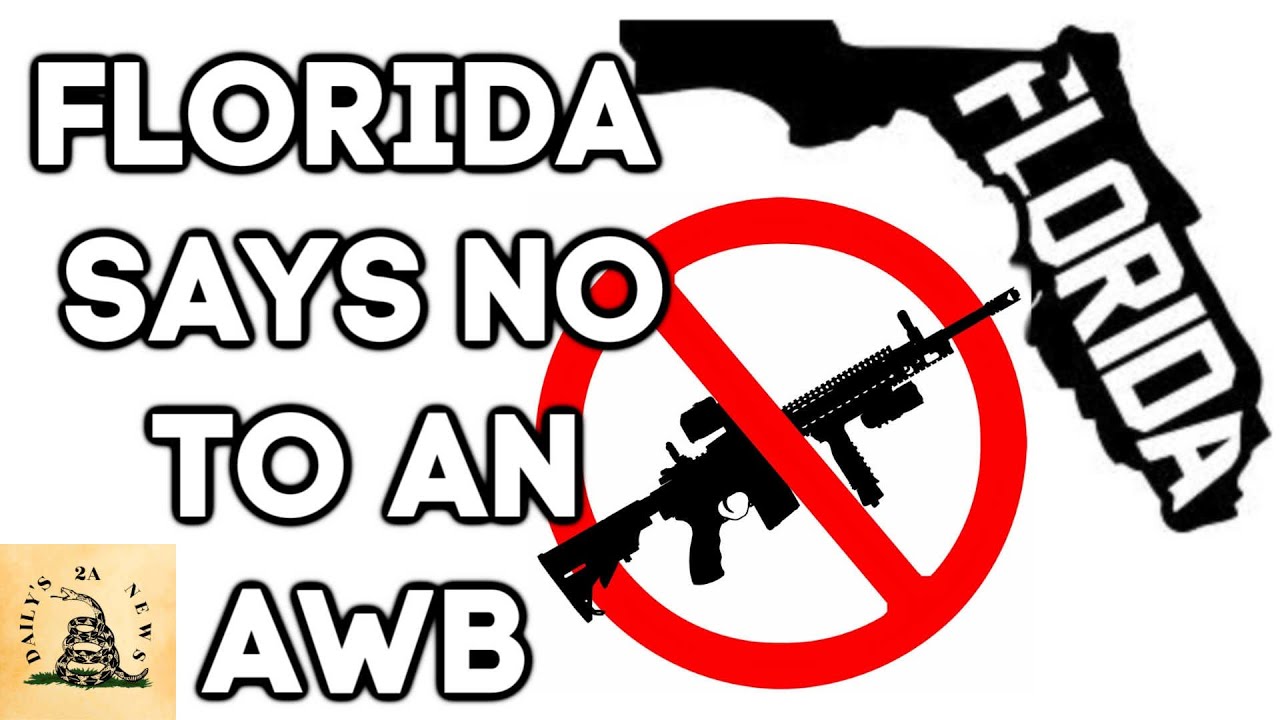 Florida Keeps Assault Weapon Ban OFF The 2020 Ballot YouTube