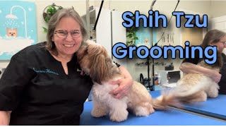 Adorable Shih Tzu Oscar gets a haircut!