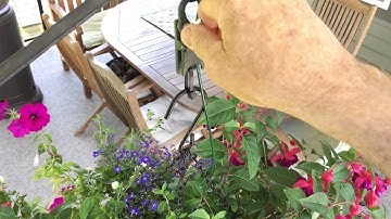 2 Calibrating the plant booster device for a hanging basket