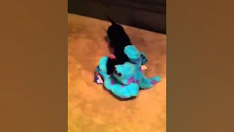 Chloe vs. Sully