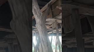 Columns, Slabs, Beams కోసం Shuttering Removal Time &amp; Scaffolding Details | tirumaani constructions