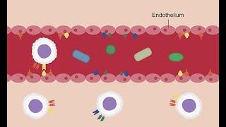 How to use inflammatory markers in skin and soft tissue disorders screenshot 1