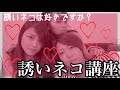 誘いネコ講座