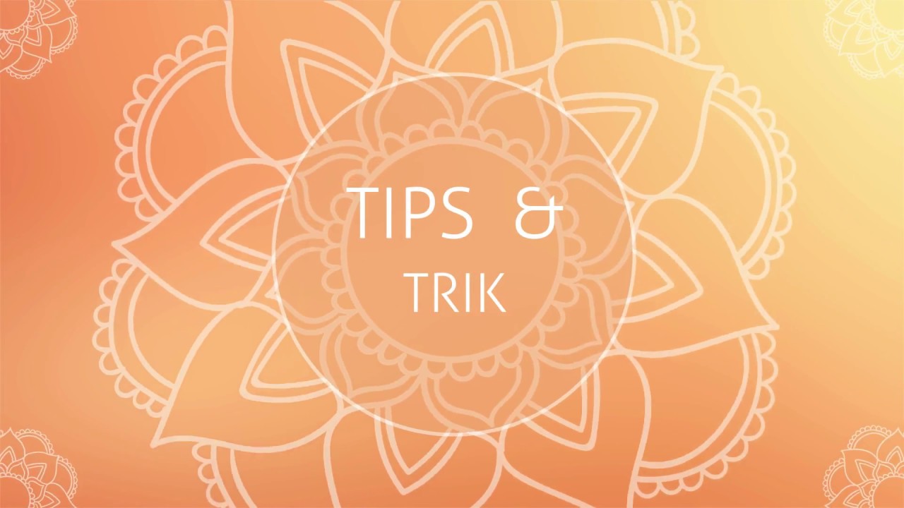 Tips Ternak Lele: Usia 50 Hari | #Bisnis - YouTube