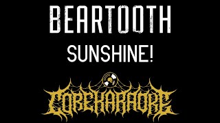 SUNSHINE! (TRADUÇÃO) - Beartooth 
