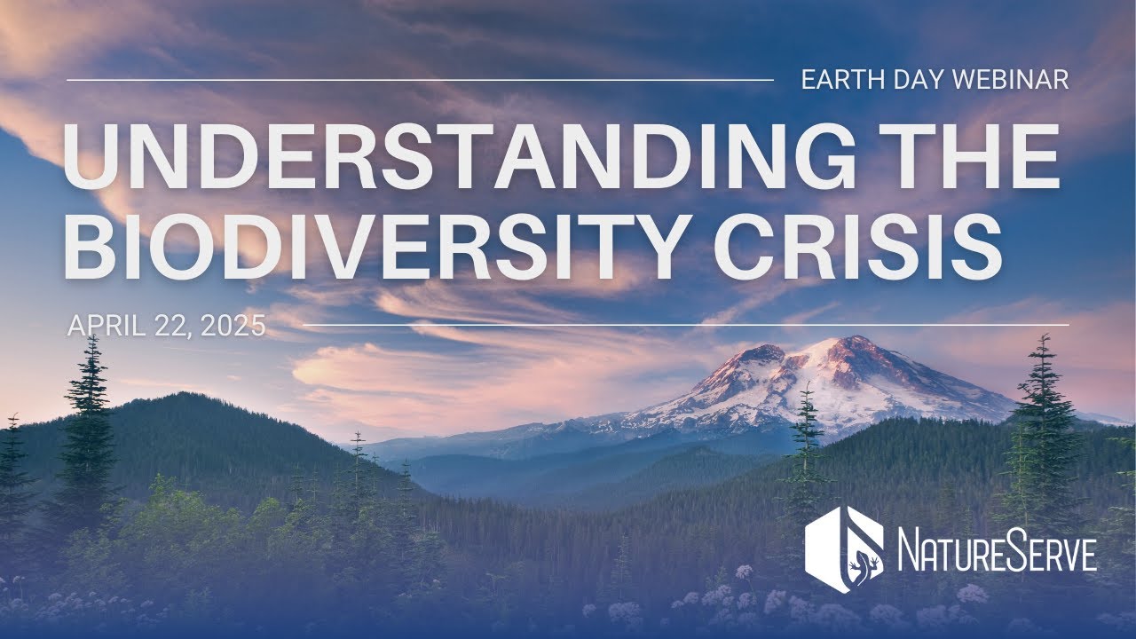 Understanding the Biodiversity Crisis with NatureServe | Webinar - YouTube