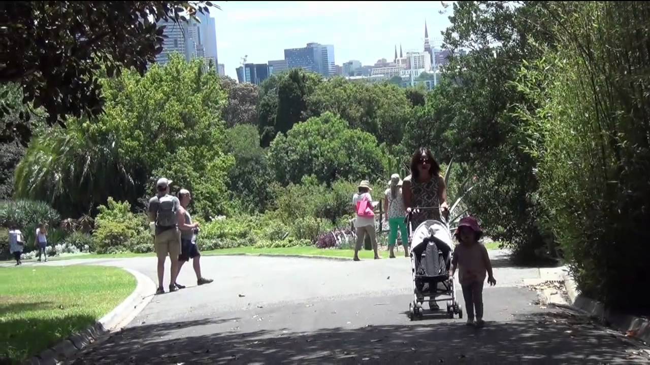 Melbourne - Yarra River and Botanic Gardens