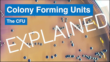 From One Cell to Billions - Colony Forming Units