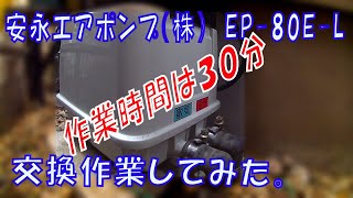 浄化槽のエアーポンプ故障！！ 安永エアポンプEP-80E-Lに交換。