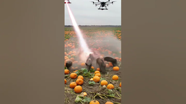 Drones will eliminate wild boars that destroy crops #villagelife #smartfarming #farming101