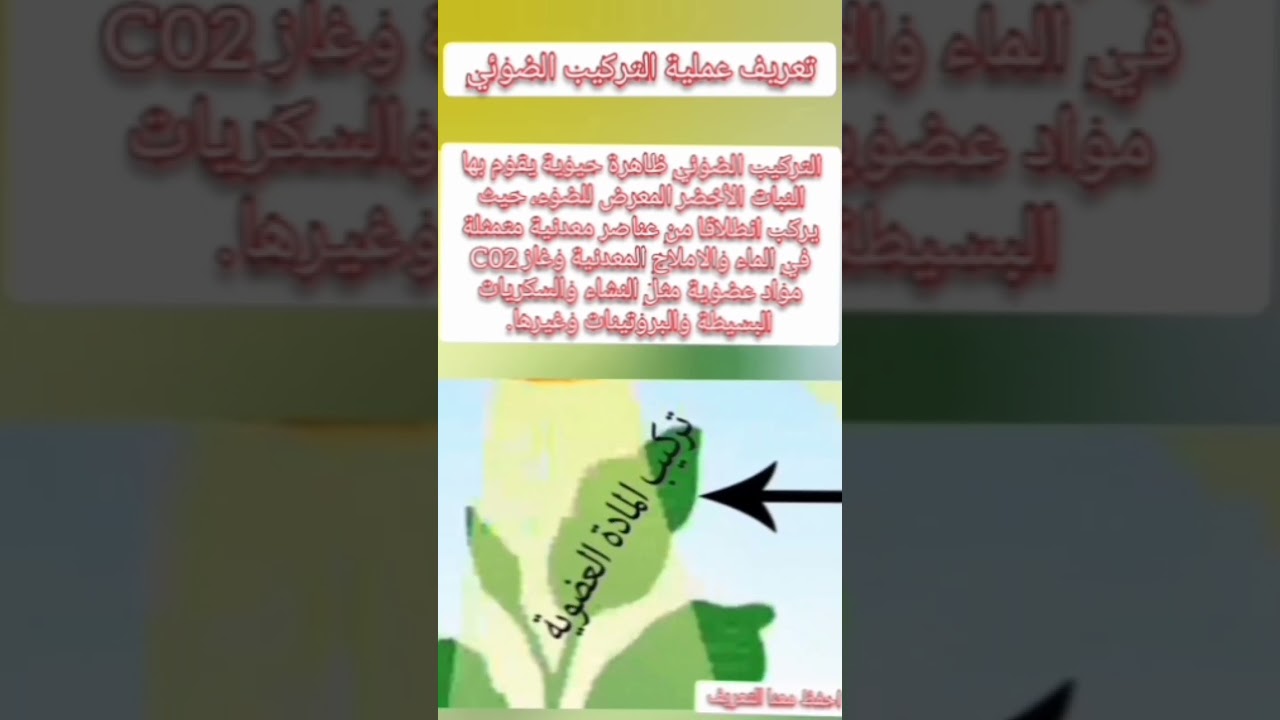 عملية التركيب الضوئي تعريفها وشروطها
