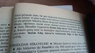 Zeyno Nun Oğlu Hali̇de Edi̇p Adivar Romani