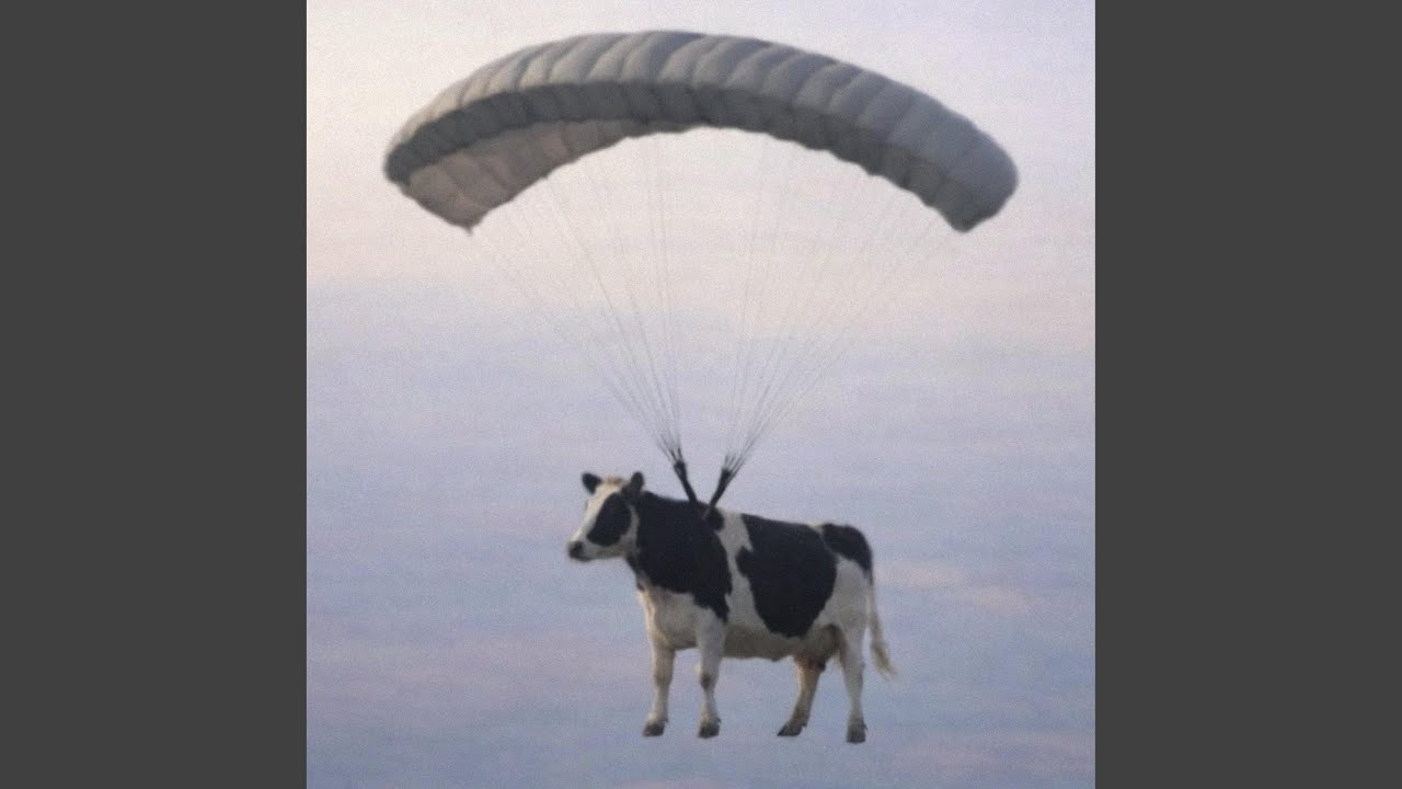 Watch inside on YouTube Watch inside on YouTube