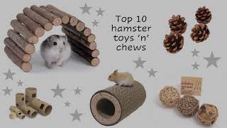 Top 10 Hamster Toys