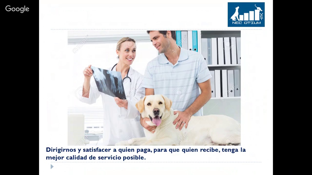 Rentabilidad en la Clínica Veterinaria ¡¡¡Seamos Pasteleros!!! MVZ MAE Francisco J. González A. camera iphone 8 plus apk