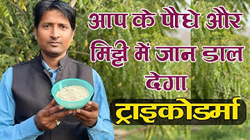 Trichoderma will bring life to your plants and soil and control diseases, Rn Kushwaha