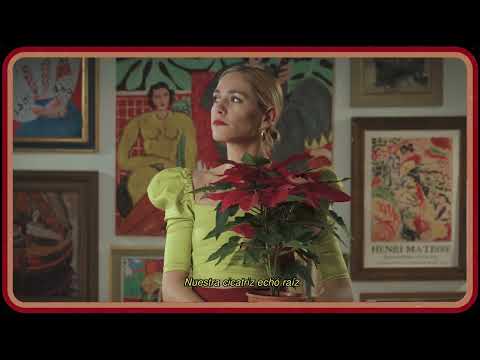 Rocio Igarzabal - Nuestra cicatríz (Album lyric video)