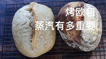 【实验】烤欧包，多少蒸汽才够用？How to get incredible oven spring by steaming your sourdough
