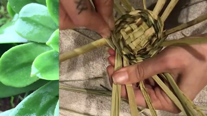 Intuitive Basket Weaving- $0 projects- Made from Reeds- Native Art Foraged Fibers, Simple guide to