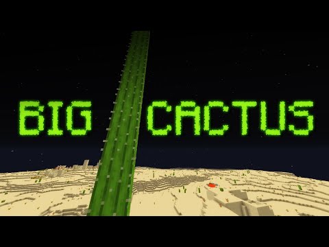 Video: What Are The Cacti Are Tall