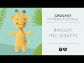 Red heart amigurumi how to crochet bridget the giraffe