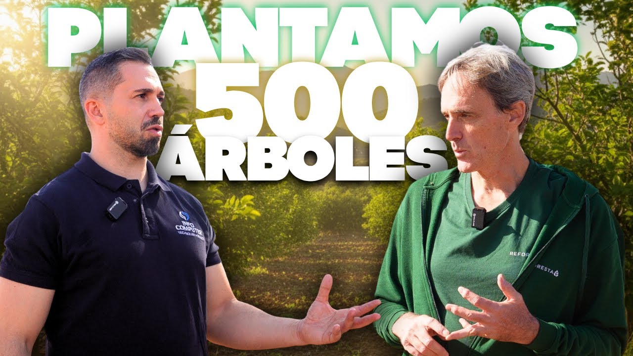 Green Friday: InfoComputer y Reforesta plantarán 500 árboles con tecnología reacondicionada