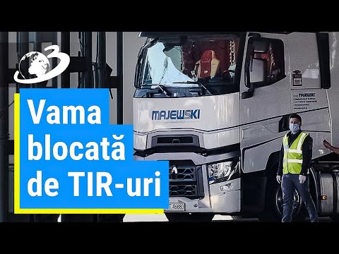 Video: 13 Balene Spălate Pe țărmurile Germaniei. Ce I-a Ucis?