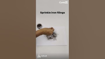 Wow science experiment (Plotting magnetic field ) || #shorts #experiment #viral #science