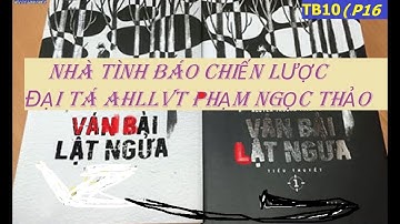 TB10(p16) VÌ SAO CÓ CUỘC ĐẢO CHÍNH NGÀY 11/11 / VÁN BÀI LẬT NGỬA / hồi ức lính chiến