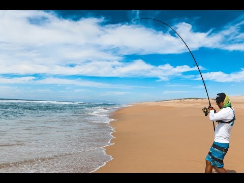 Pesca de PLAYA (surf fishing): Tiburon Grande y Jureles (Probando nuevas cañas)